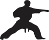 icon2